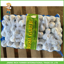 Supply and export 2015 new crop fresh garlic,natural garlic,peeled garlic, Shandong garlic